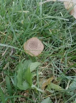 P71118-105833.webp