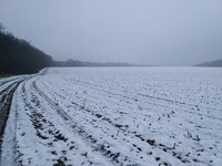 IMG_20171126_122744 - Copy.jpg