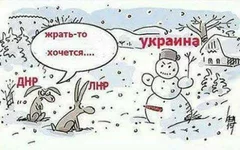 23844708_572155786461568_6735245943236792565_n.webp