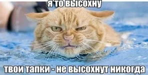 IMG-20151026-WA0000.webp IMG-20151026-WA0000.webp