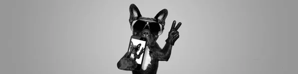 D7RWLOMANYc.webp