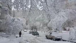 2017-12-04.jpg