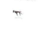 224.webp