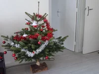 20171206_101053 (800x600).webp