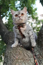  105000.webp