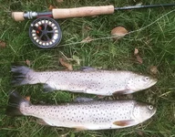 IMG_20171209_154819_523.webp