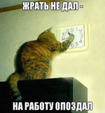 viber image2.webp