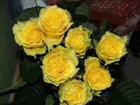  013.webp
