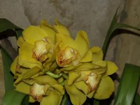 _5295384.webp