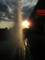 DSCN5013.webp