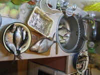 IMG_4537.webp