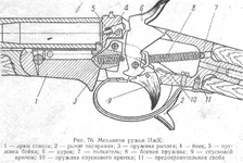 1951481.webp