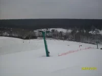 SDC13882.webp