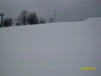 SDC13886.webp