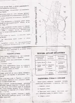 SCAN0009.webp