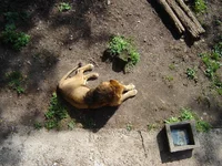 DSC043321.webp