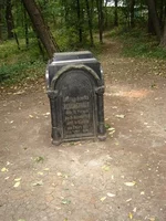 0_2bc8f_f0f674d4_L.webp