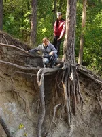 0_2bd53_b213cf5c_L.webp