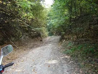 0_2bd4c_fd965d56_L.jpg 0_2bd4c_fd965d56_L.jpg