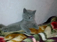 020320104941.webp
