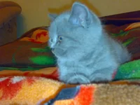 020320104945.webp