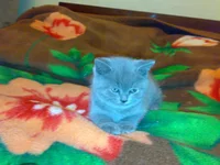 020320104946.webp
