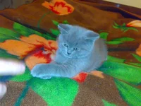 020320104947.webp
