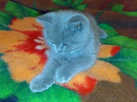 020320104952.webp