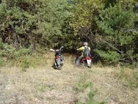0_2bd68_5acf42e1_L.jpg