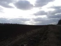 0_2bd7b_1da83235_L.webp