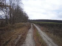 0_2bd74_bf4758a2_L.webp