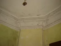 0_2797f_bd7d9f71_L.webp