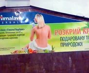 3475.webp