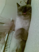 28022010761.webp