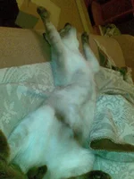 13022010748.webp