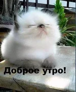 image-0-02-04-a29ca344a8de706f851ba533d80dc9749dee7a71e636acb8ad2f9813c747ed51-V.webp