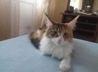 viber image1.jpg