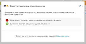 555595959.webp