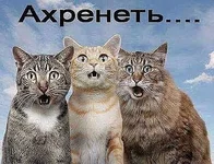 ахренеть.jpg