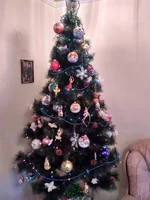 IMG_2017-12-23_090647_HDR.webp