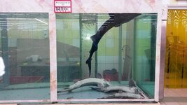 IMG_20171224_180019.jpg