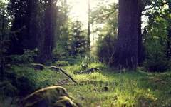 02.webp