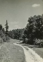 img368_cr1.jpg
