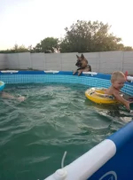 P70813-192847.webp
