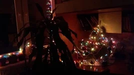 20171231_231532.jpg
