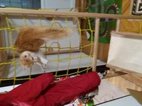 20171101_184920.webp