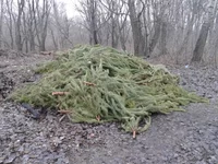 20180101_112638.jpg