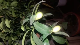 20180108_162328.webp