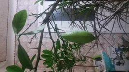 20180108_162337.webp