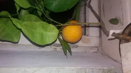 20180108_162200.webp